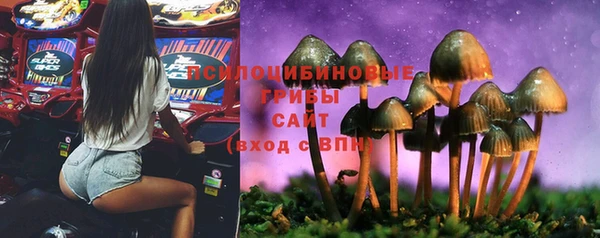 а пвп мука Зерноград