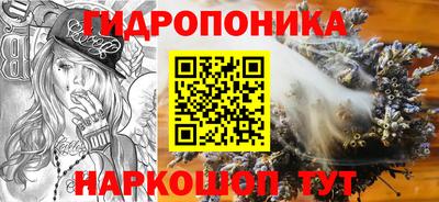 шишки Малгобек