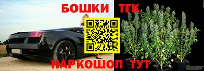 шишки Малгобек