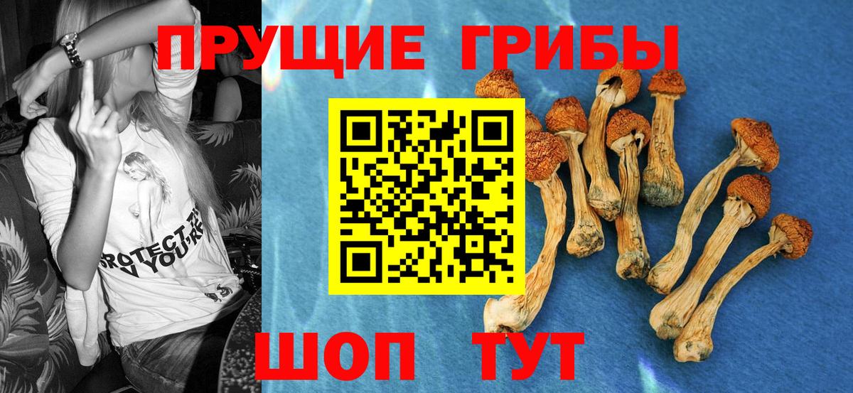 Топки  Галлюциногенные грибы Psilocybe  Вход с VPN 